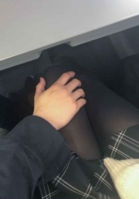 向日葵绽放的夜晚樱花