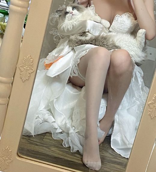 只是相爱的关系