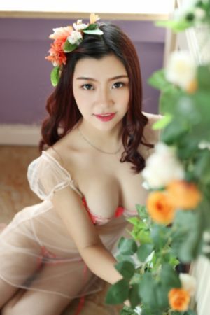 前夫求复婚电视剧大结局