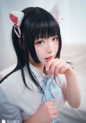 妙手神捕俏佳人