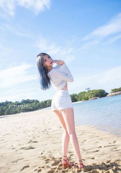 试探爱情电视剧免费观看