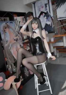 梦想成为魔法少女动画