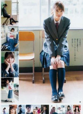 智齿韩国