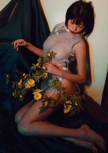 新白娘子传奇 电视剧