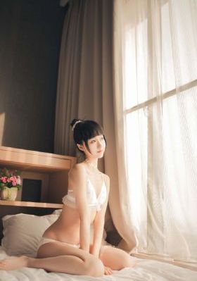 女律师的坠落