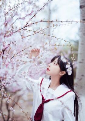 秘密交换